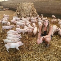 Bryanna Harner