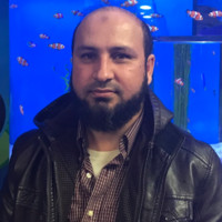 Habibur Abbasi