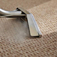 Steam Carpet Cleaning