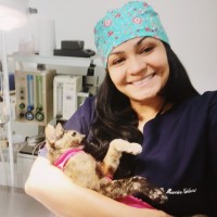 Michelle Moreira Colussi