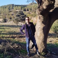 Kadi Hichem