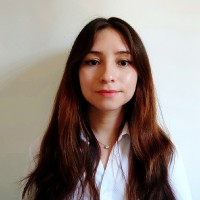 Lindsay Aldinea Llancamil Ramírez