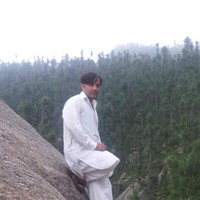 M Arif
