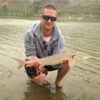 Aaron Winquist