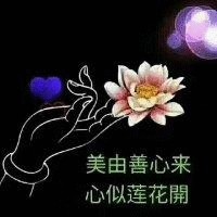端木伟光