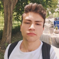 Emir Uzungel