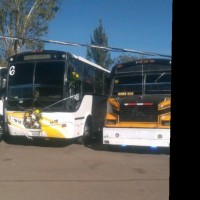 Antonio Alvarez guzman