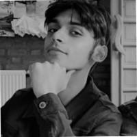 Ansh Parekh