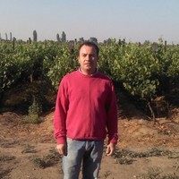 GERMAN RENE DIAZ SEPULVEDA