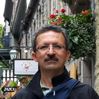 Amir Yasemi