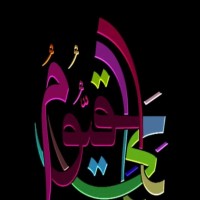 Amir Naeem