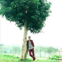 Anh Đỗ