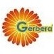 Gopi Gerbera