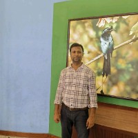 Mohammad Faiyaz Ahmad