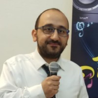 Arie Asulin