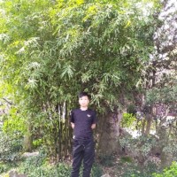 薛乐乐