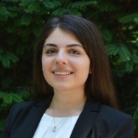 Lori Sürücü