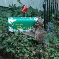 Diana Burrell-Shipton