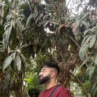 Haroon Younis