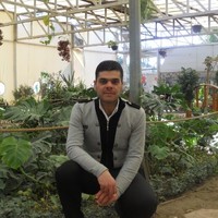 Fouad Alsammarraie