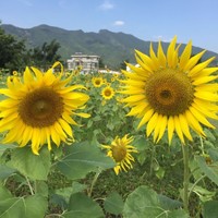 许世民