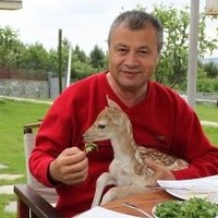 İsmail Aşçıoğlu