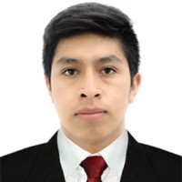 Dilan Mayqui Vilca Julcamoro