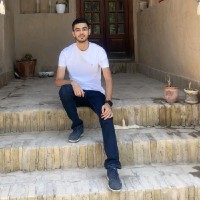 Soheil Osouli
