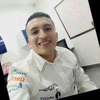 Fernando Andrés Molina Martínez
