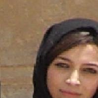 F.Z Fatemi