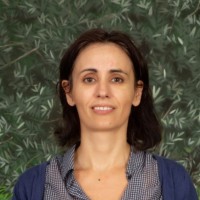 Polixeni Rontiri