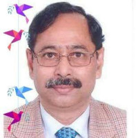 Md. Maqbul-E-Elahi Mashgul