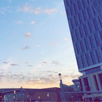 Hatoon AlMushaiqah