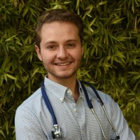 Antonio Madrazo-Ibarra