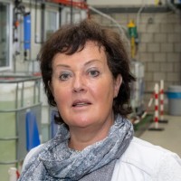 Inez Postema