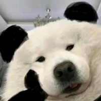张少钦