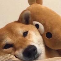 于鑫鑫