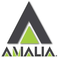 AMALIA CASA PRODUCTORA