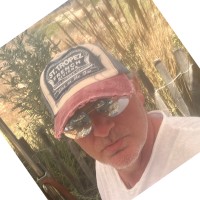 Robert Sauer