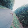 송가람