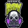 Smart boy