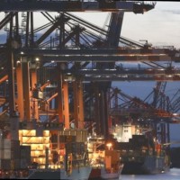 HECTOR EDUARDO GONZALEZ