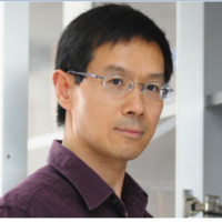 Qiang Liu