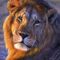 Lucien Lion