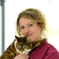 Lise Grandemange