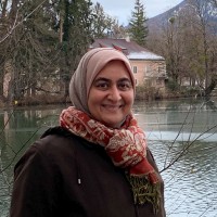Sahar Nasr