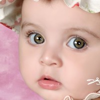 t. w ali