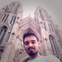 Vignesh P S