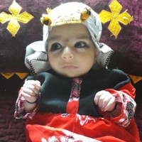 Abdul Wahid