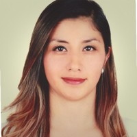 Paola Andrea Contreras Bubú